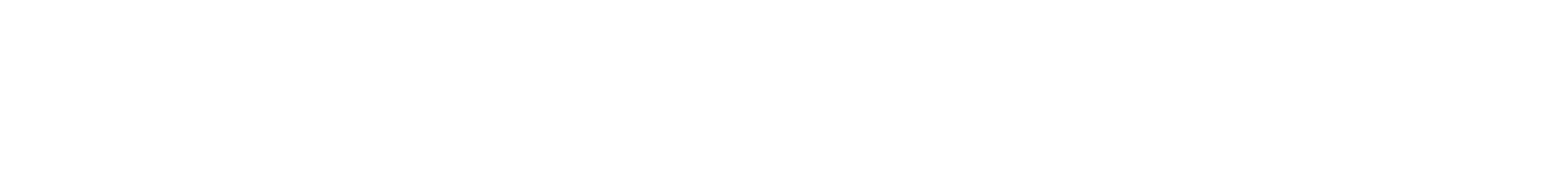 Everforth Logo