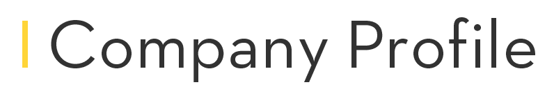  Company Profile