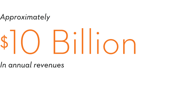 Approximately  10 Billion In annual revenues  