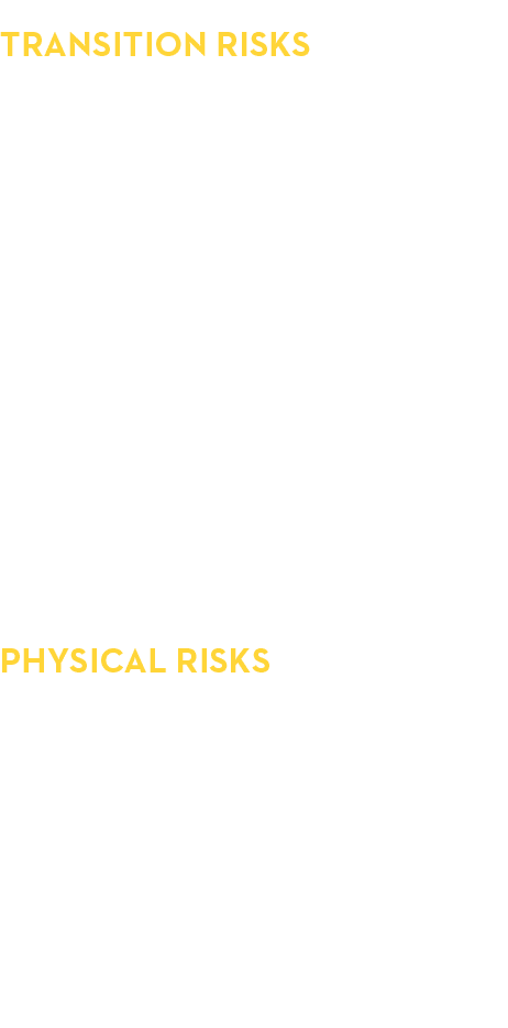 Transition Risks,Energy Disclosure Regulations,Water Disclosure Regulations,Carbon Pricing,More Stringent Building Co   