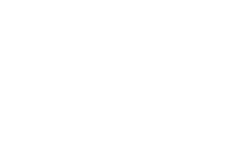 FVE Woman as Audit Committee Chair Woman as Nominating and Governance Committee Chair Woman as President and CEO Woma   