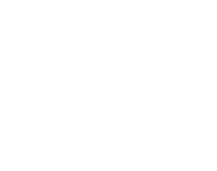 TA Woman from an Underrepresented Community as Nominating and Governance Committee Chair Woman as Compensation Commit   