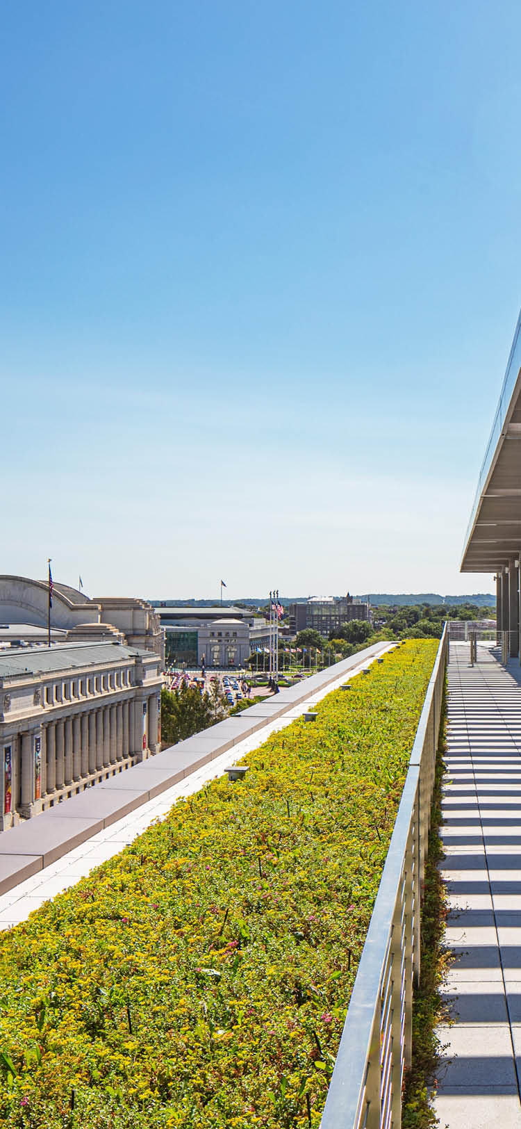 Outdoor walkway with greenery on one of the top floors of 20 Massachusetts Avenue in Washington D.C. The building is owned by OPI and is LEED Gold and WELL Certified.