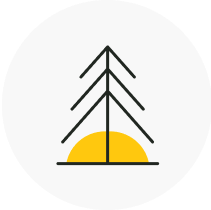 Tree icon