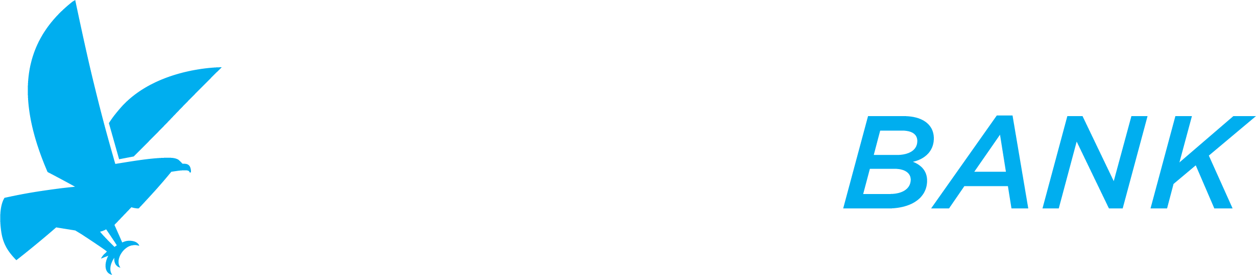 Auburn Bank