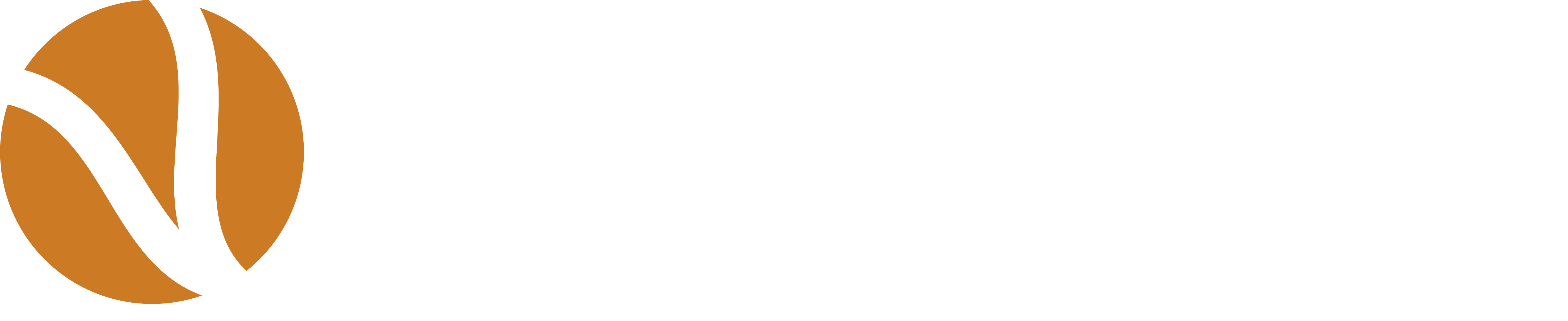 Versigent, Logo