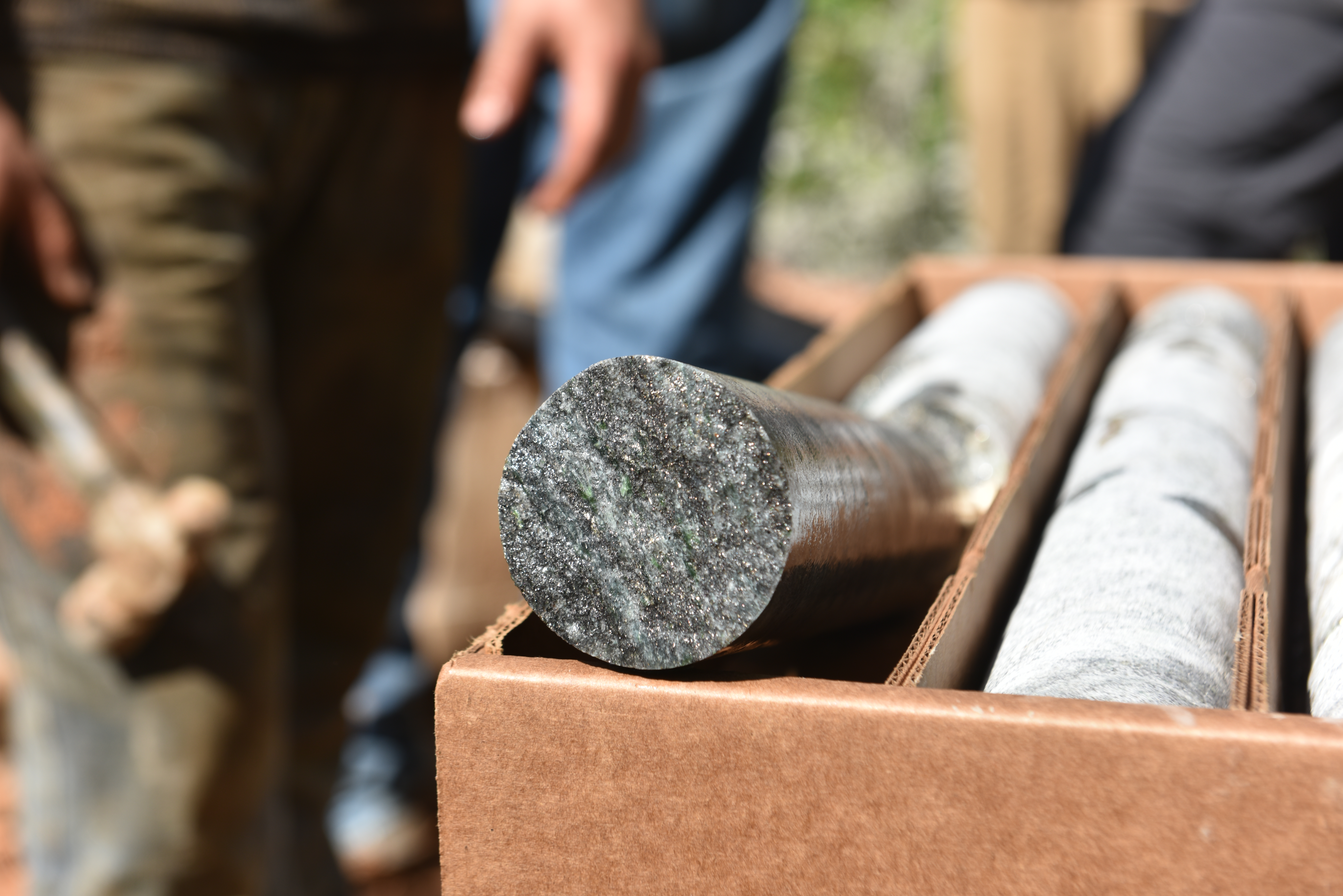 Mineralization image