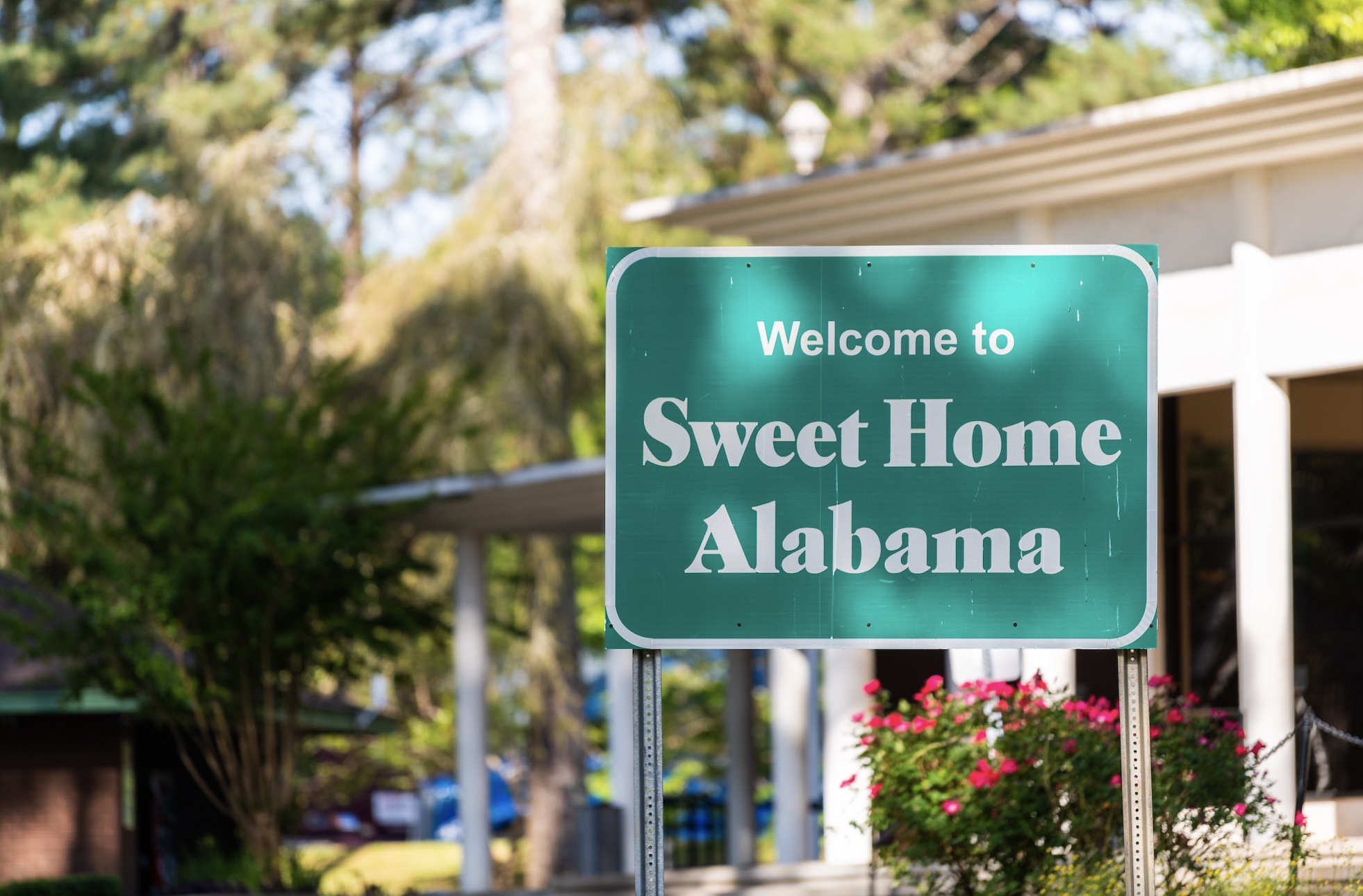 Scalable production image