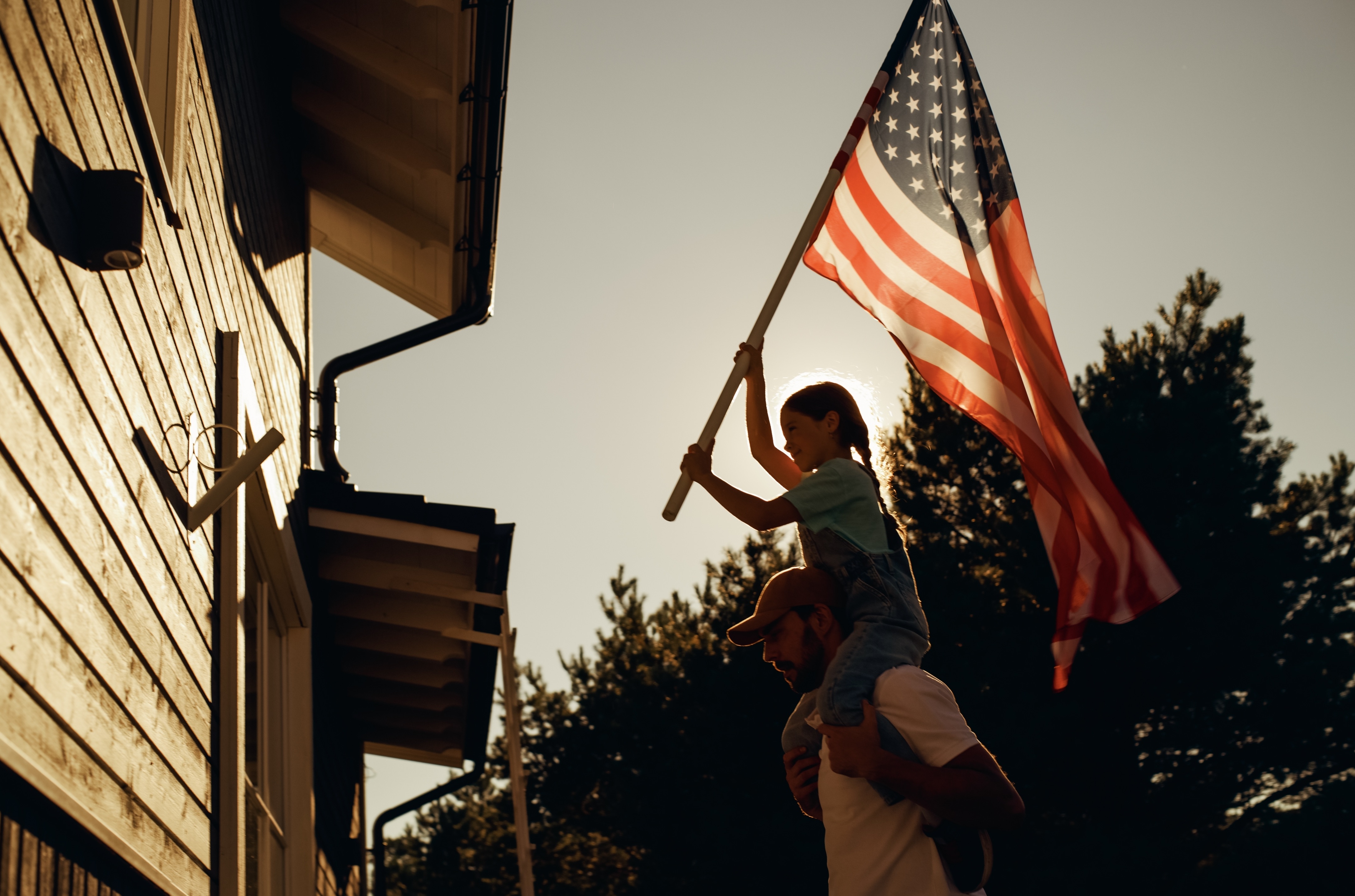 Domestic Supply image